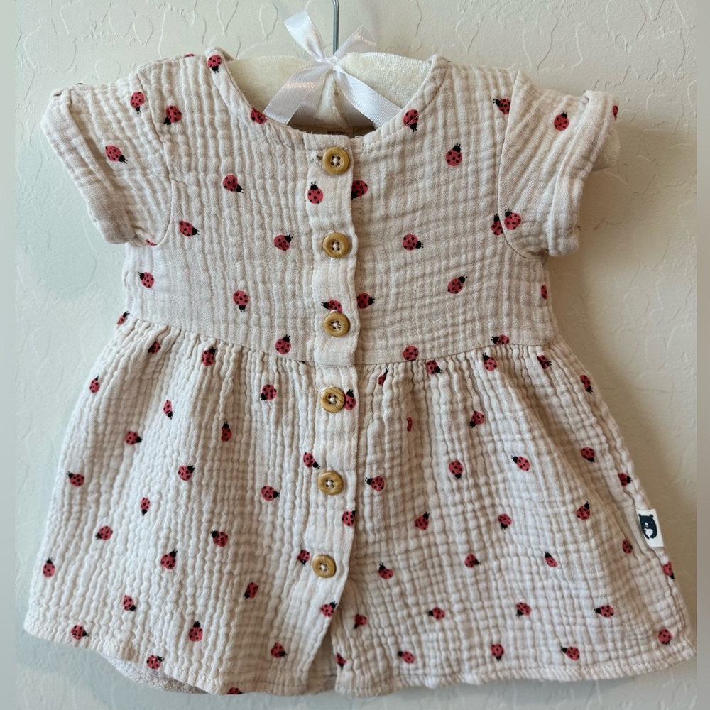 Ladybug Dress Set